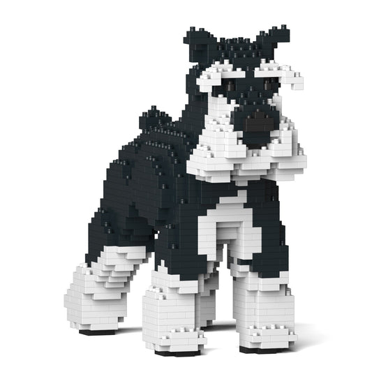 Standard Schnauzer 01-M02