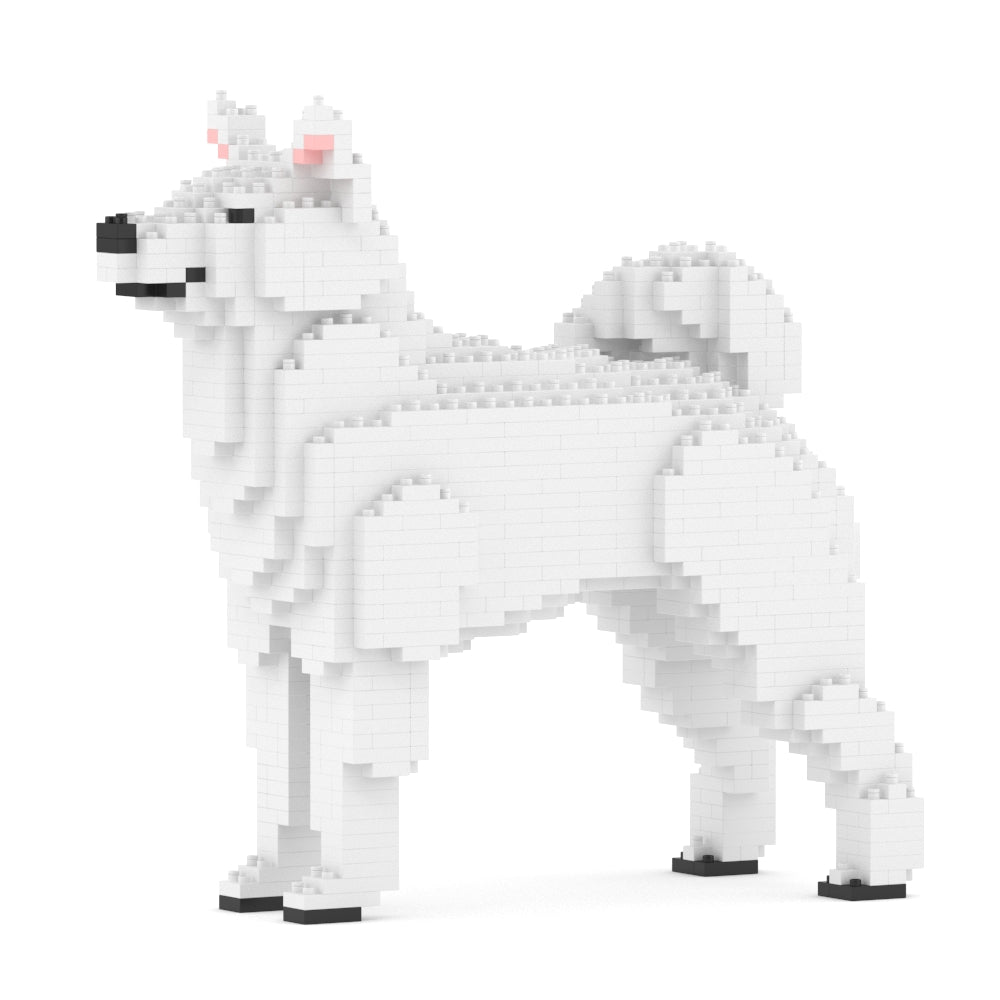 柴犬01-M03