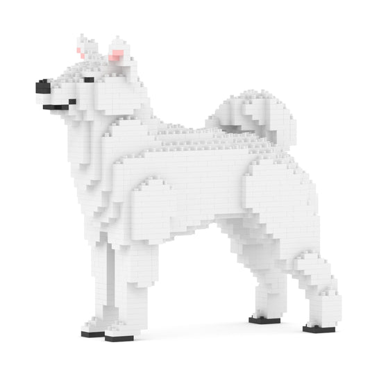 柴犬01-M03