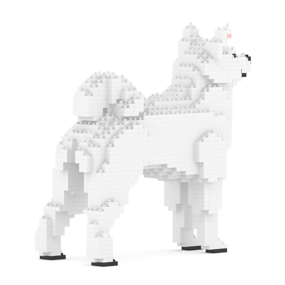 柴犬01-M03