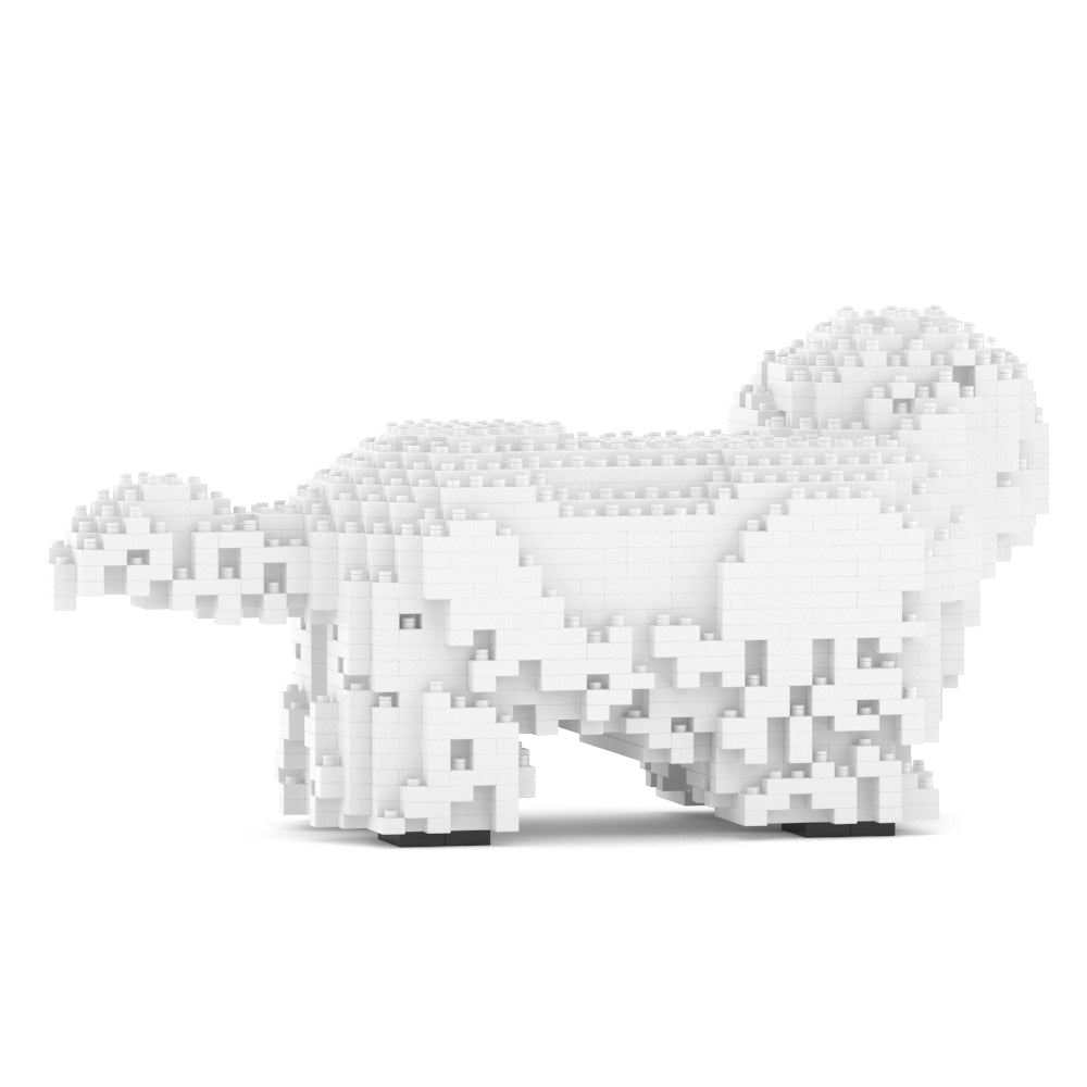 Shih Tzu 01-M03