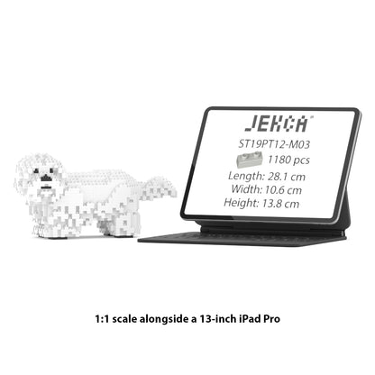 Shih Tzu 01-M03