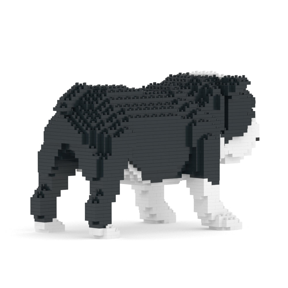 English Bulldog 01-M04