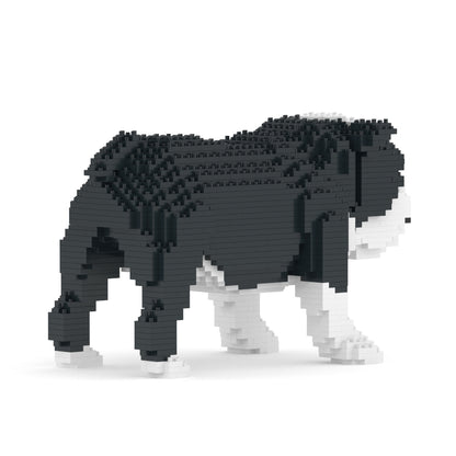 English Bulldog 01-M04