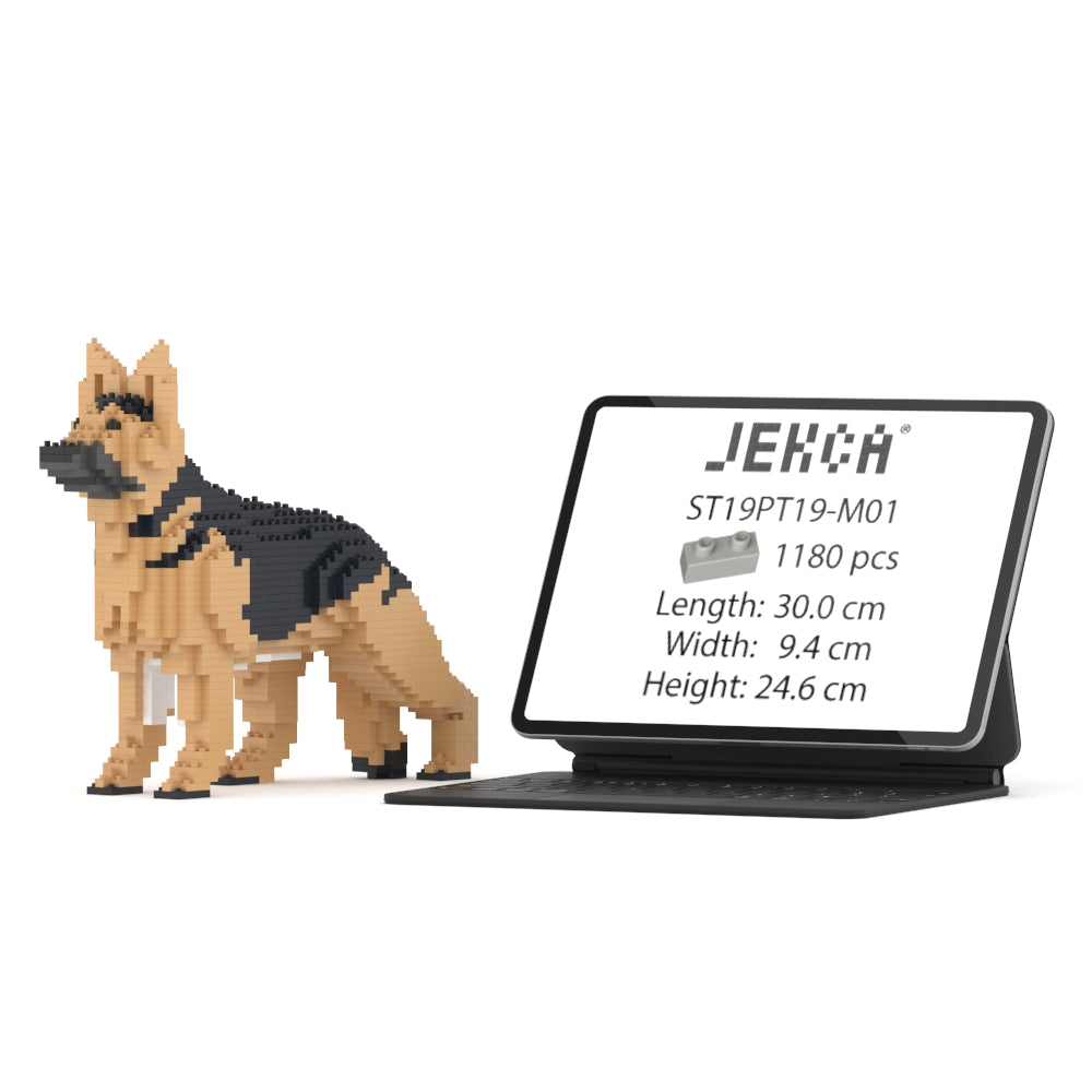 德國牧羊犬01-M01