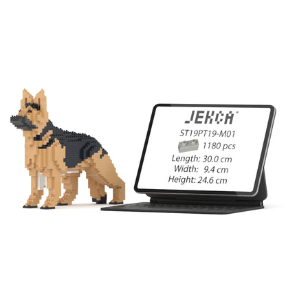 德國牧羊犬01-M01