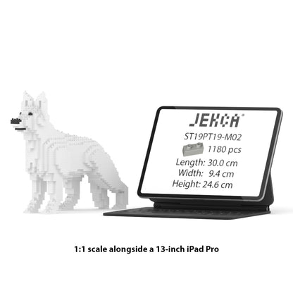 德國牧羊犬01-M02