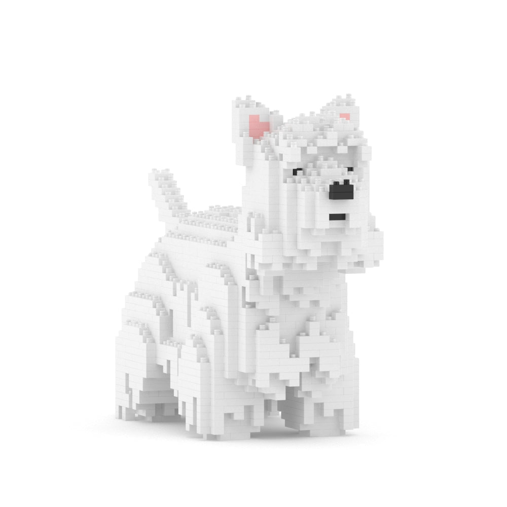 西高地白㹴犬01
