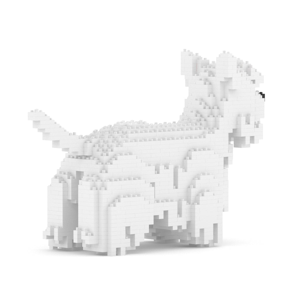 西高地白㹴犬01