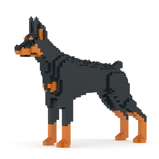 Doberman Pinscher 01-M01