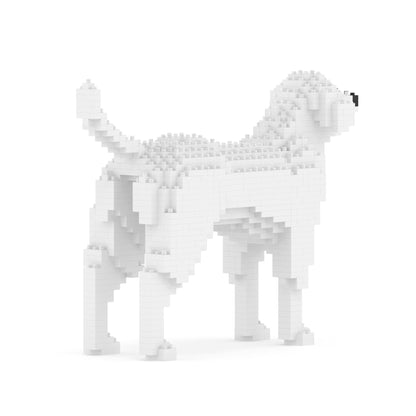 Labrador Retriever 01-M02