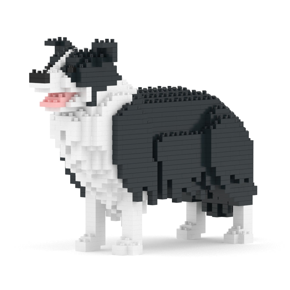 邊境牧羊犬01-M01