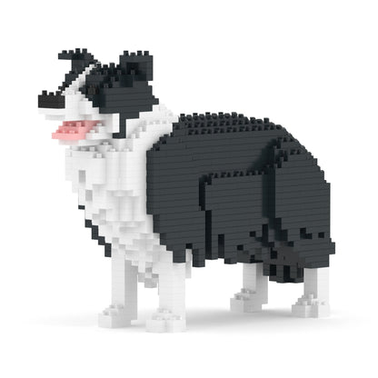 邊境牧羊犬01-M01