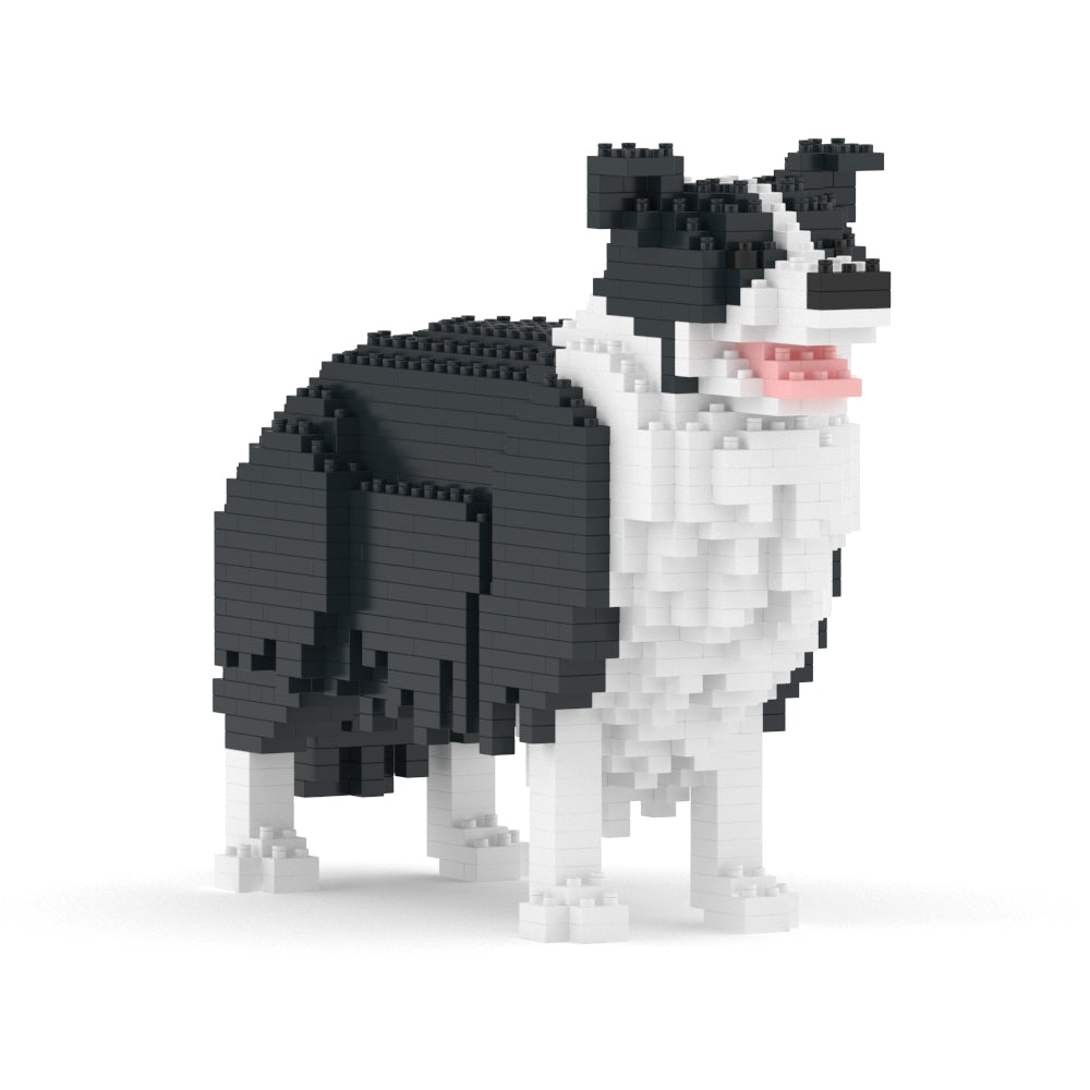 邊境牧羊犬01-M01
