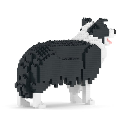 邊境牧羊犬01-M01