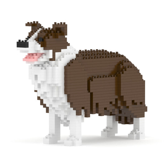 邊境牧羊犬01-M02