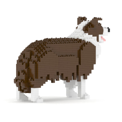 邊境牧羊犬01-M02