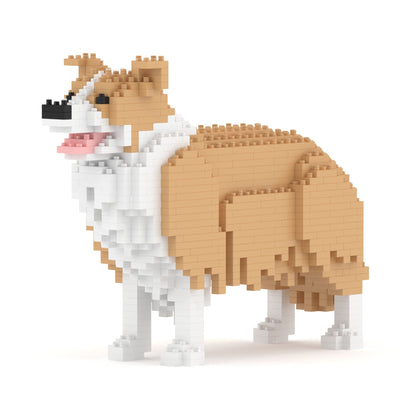 邊境牧羊犬01-M03