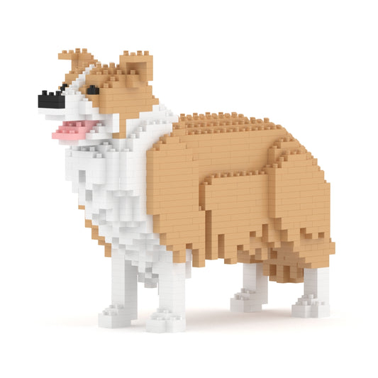 邊境牧羊犬01-M03