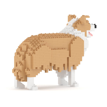 邊境牧羊犬01-M03