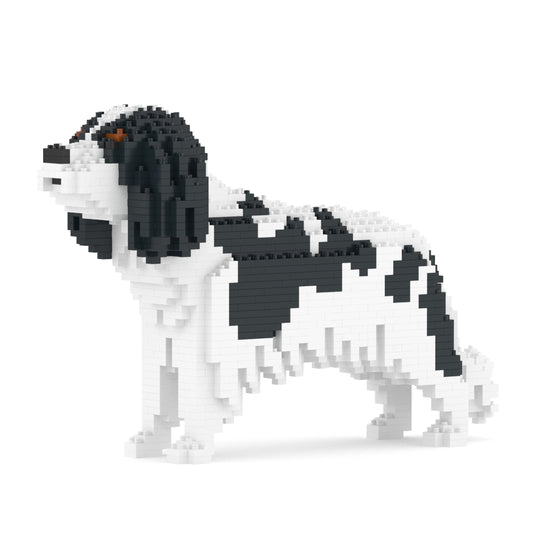 查理斯王騎士犬01-M02