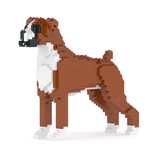 拳師犬01-M01