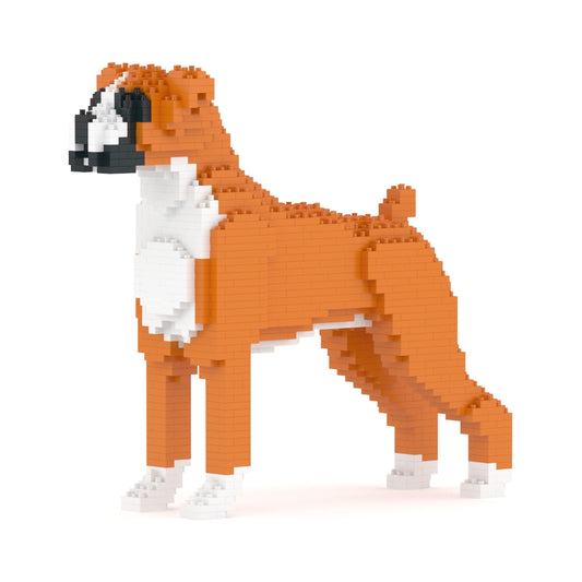 拳師犬01-M02