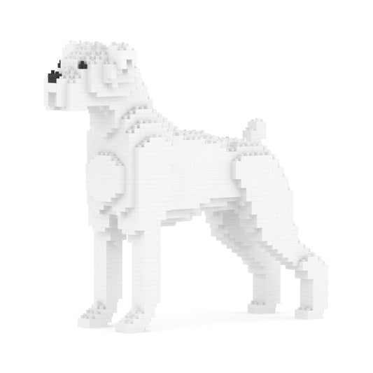 拳師犬01-M03