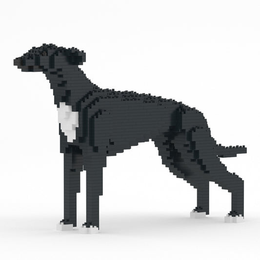 格雷伊獵犬01-M02
