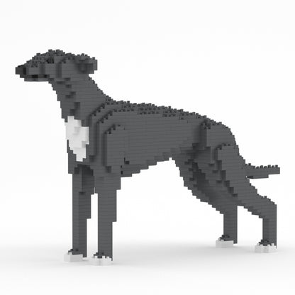 格雷伊獵犬01-M03