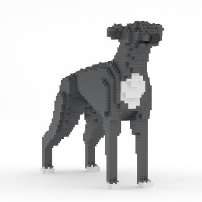 格雷伊獵犬01-M03