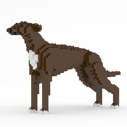 格雷伊獵犬01-M04