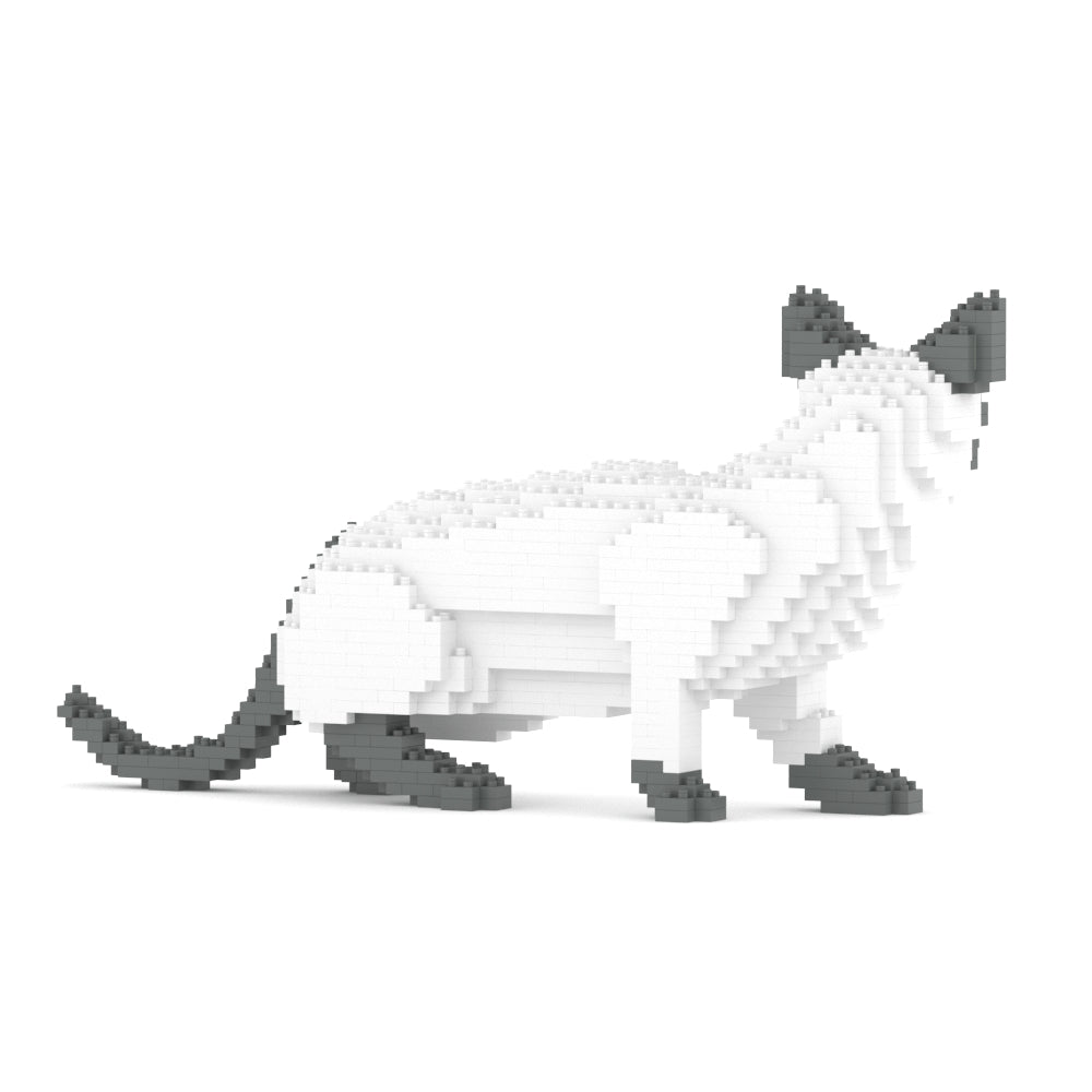 暹羅貓02S-M02