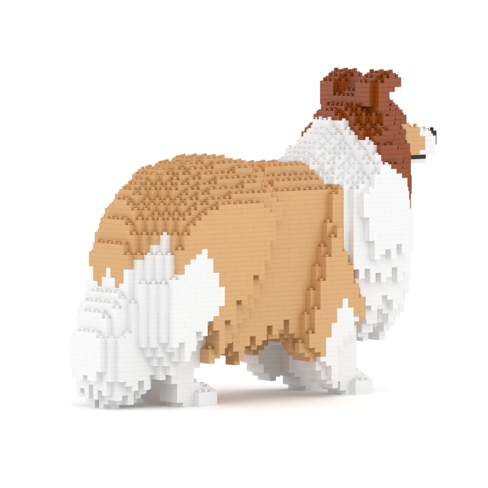 喜樂蒂牧羊犬02-M01