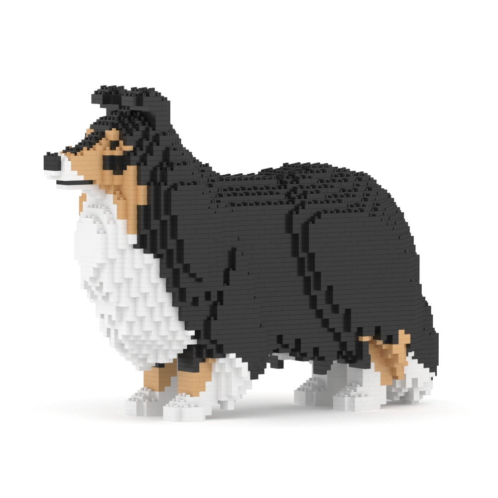 Shetland Sheepdog 02-M02