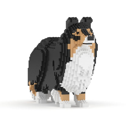 Shetland Sheepdog 02-M02