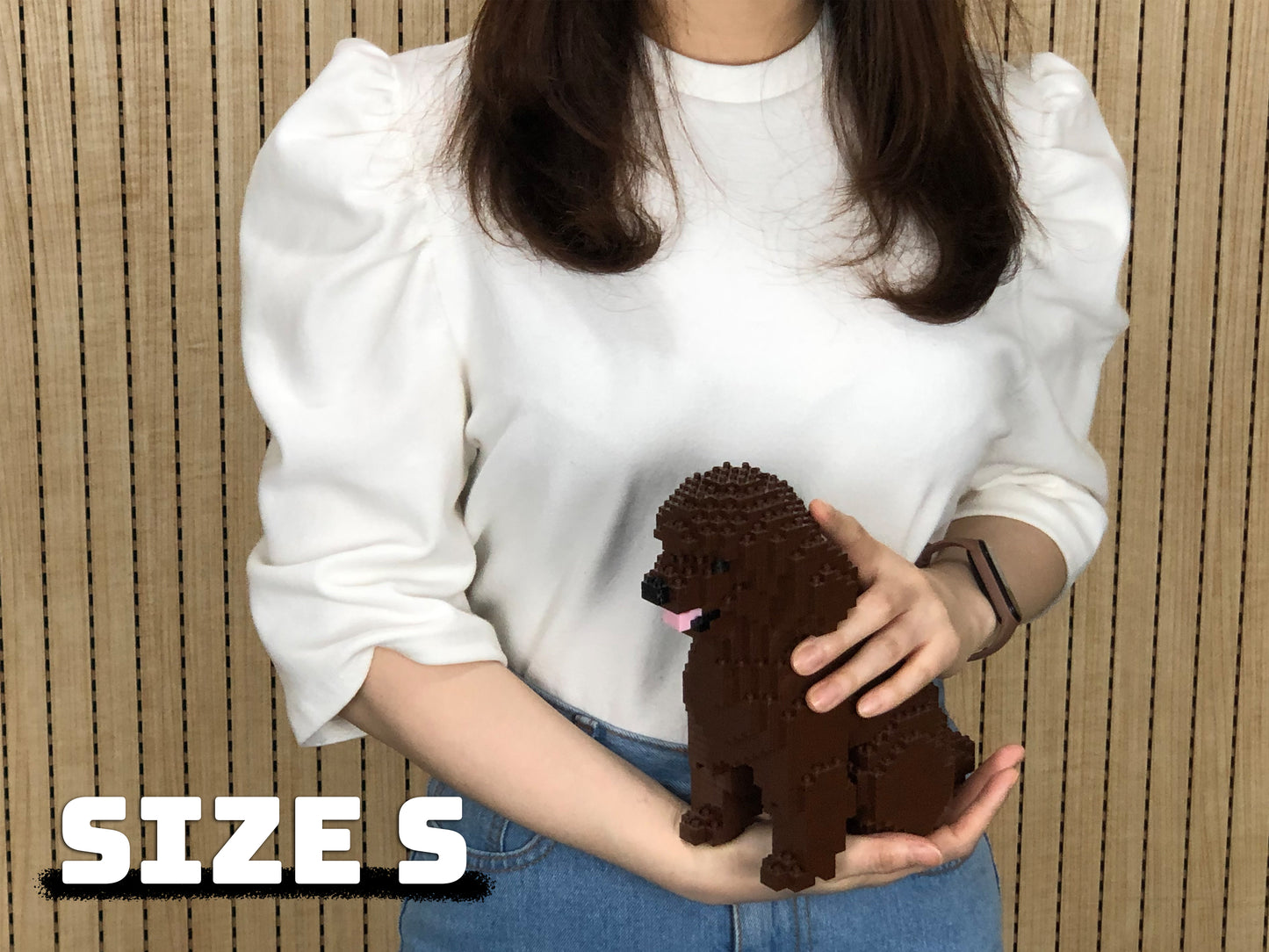 Toy Poodle 03-M05