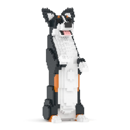 哥基05-M03