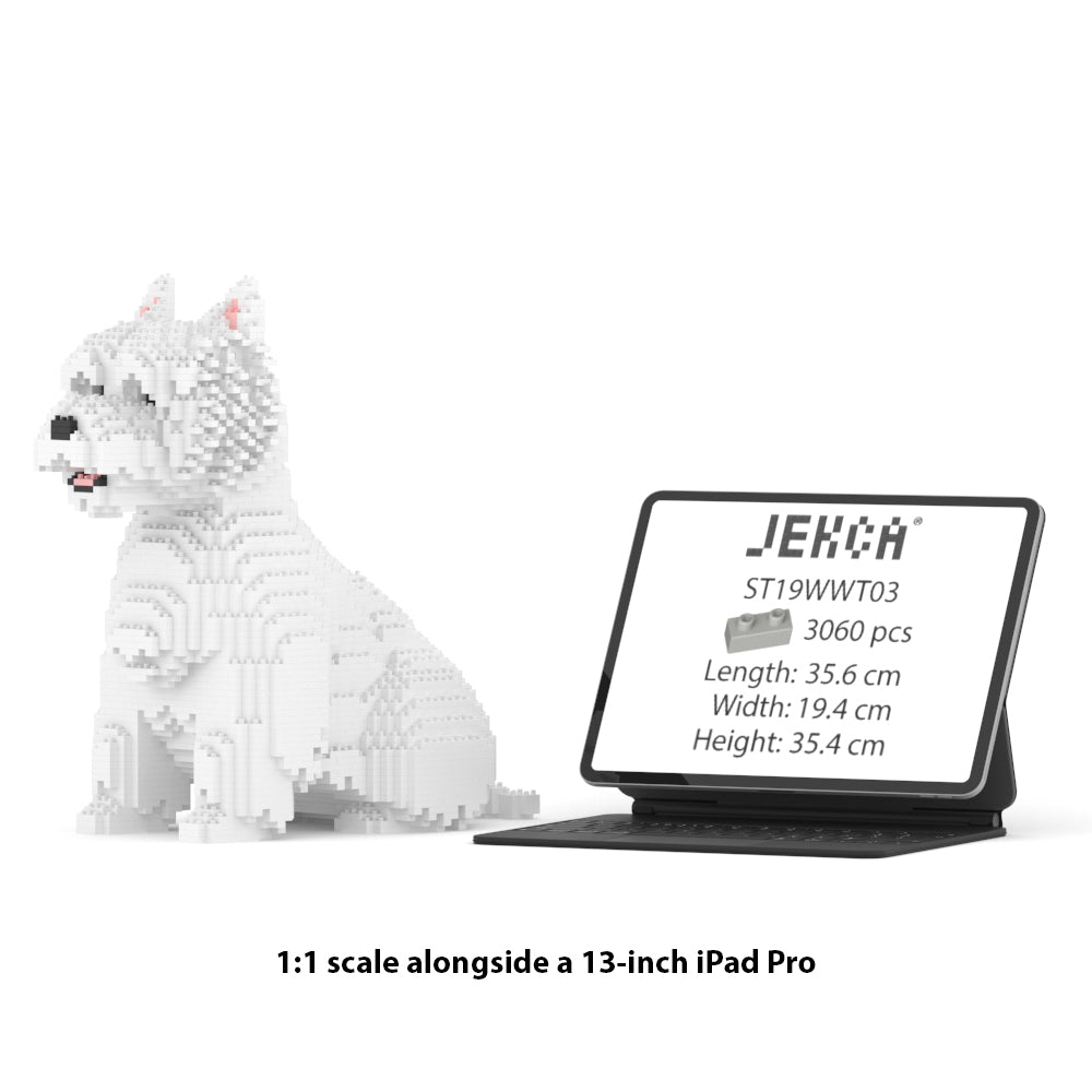 西高地白㹴犬03