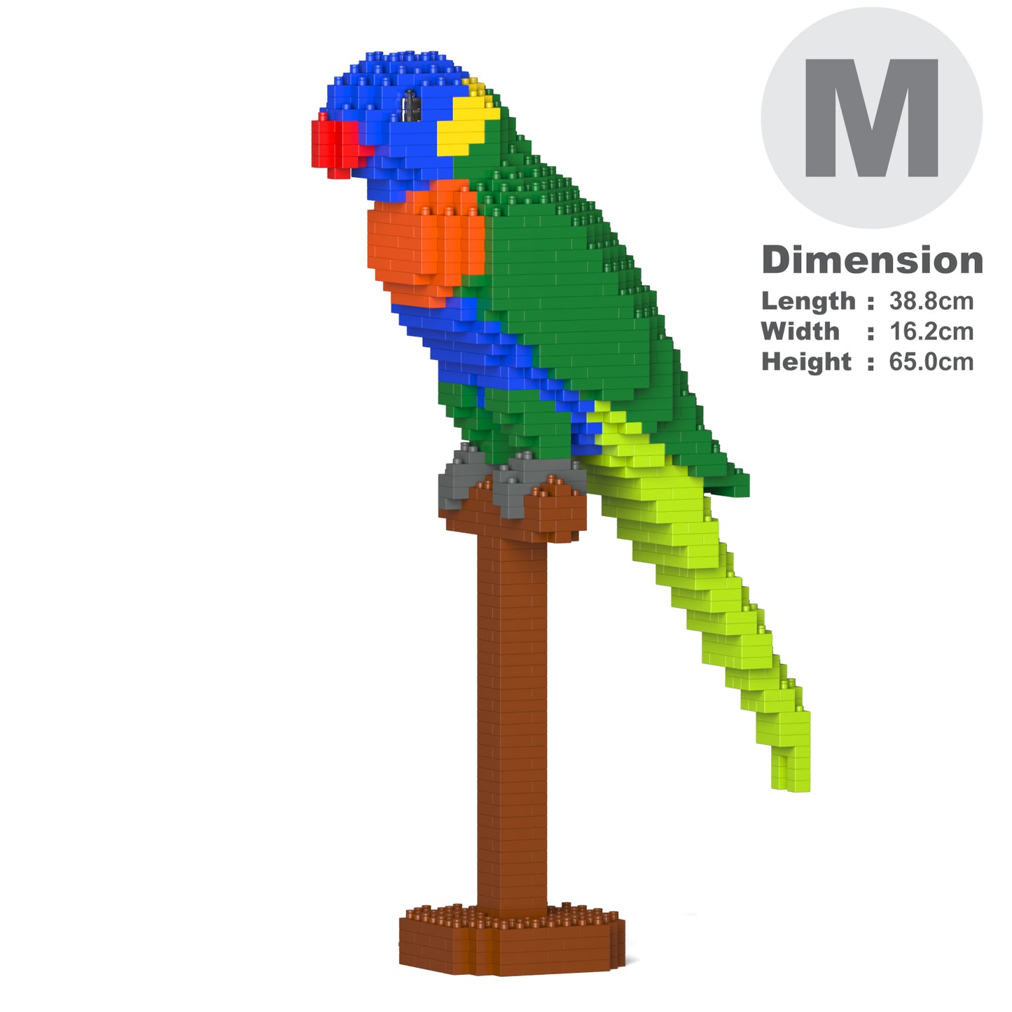 Rainbow Lorikeet 01