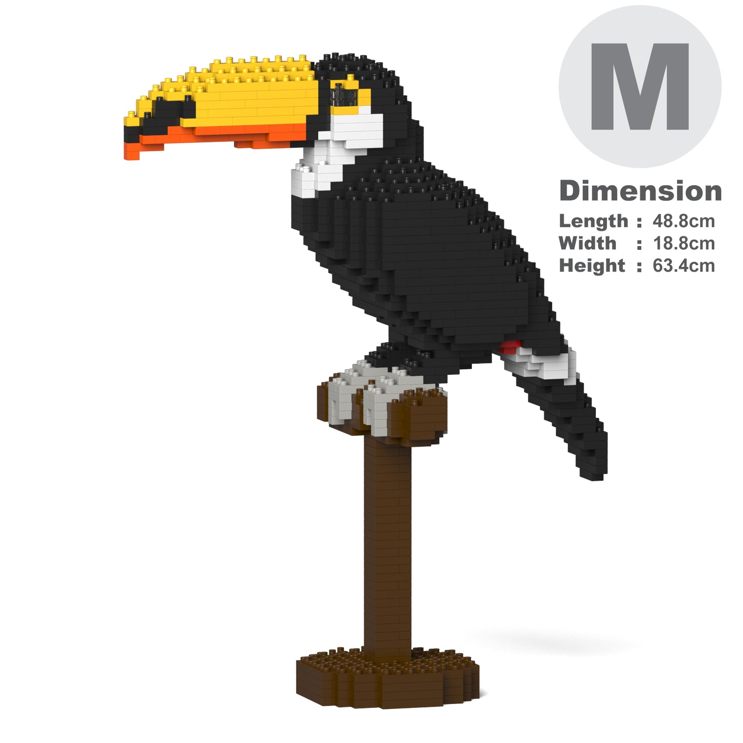 Toco Toucan 01