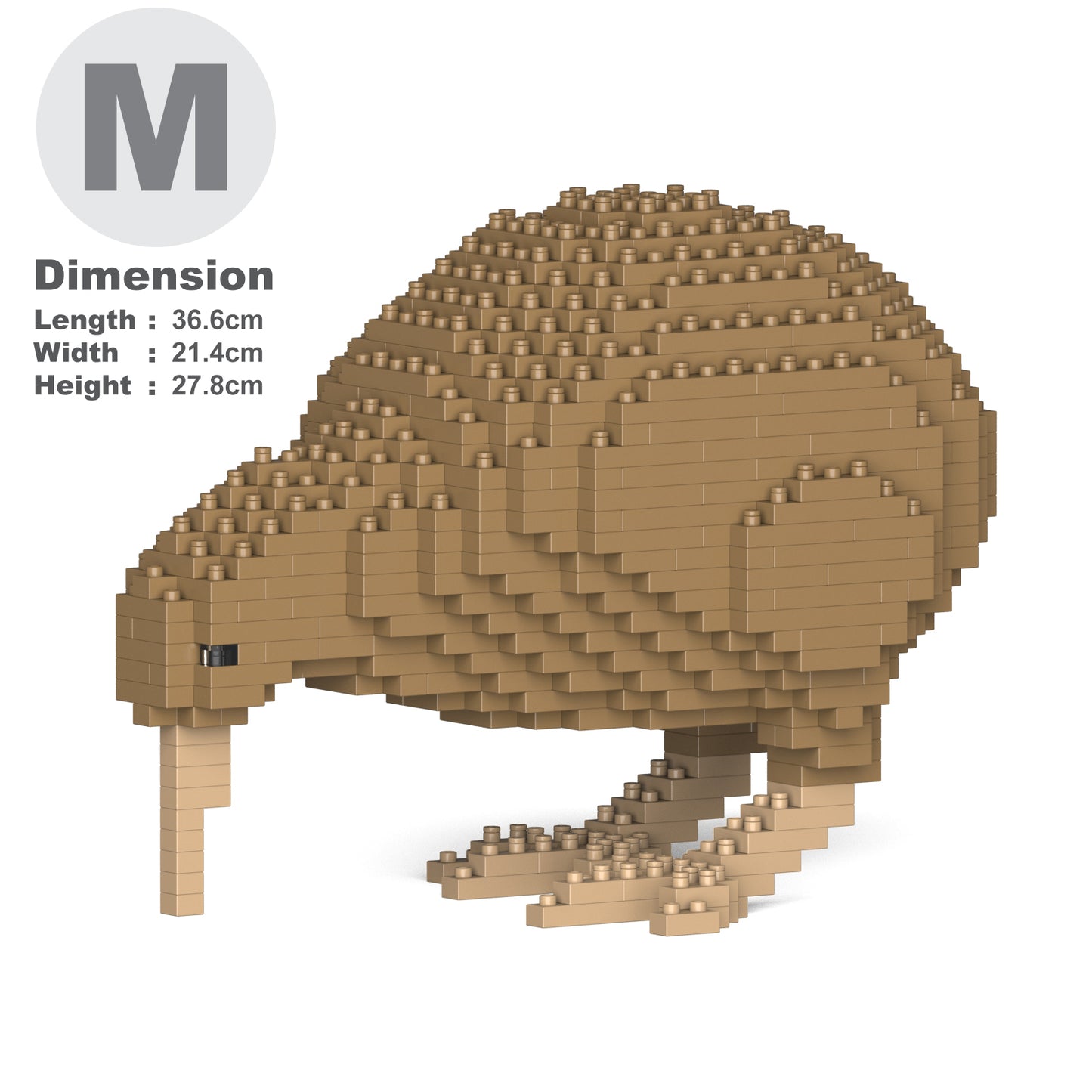 Kiwi 01