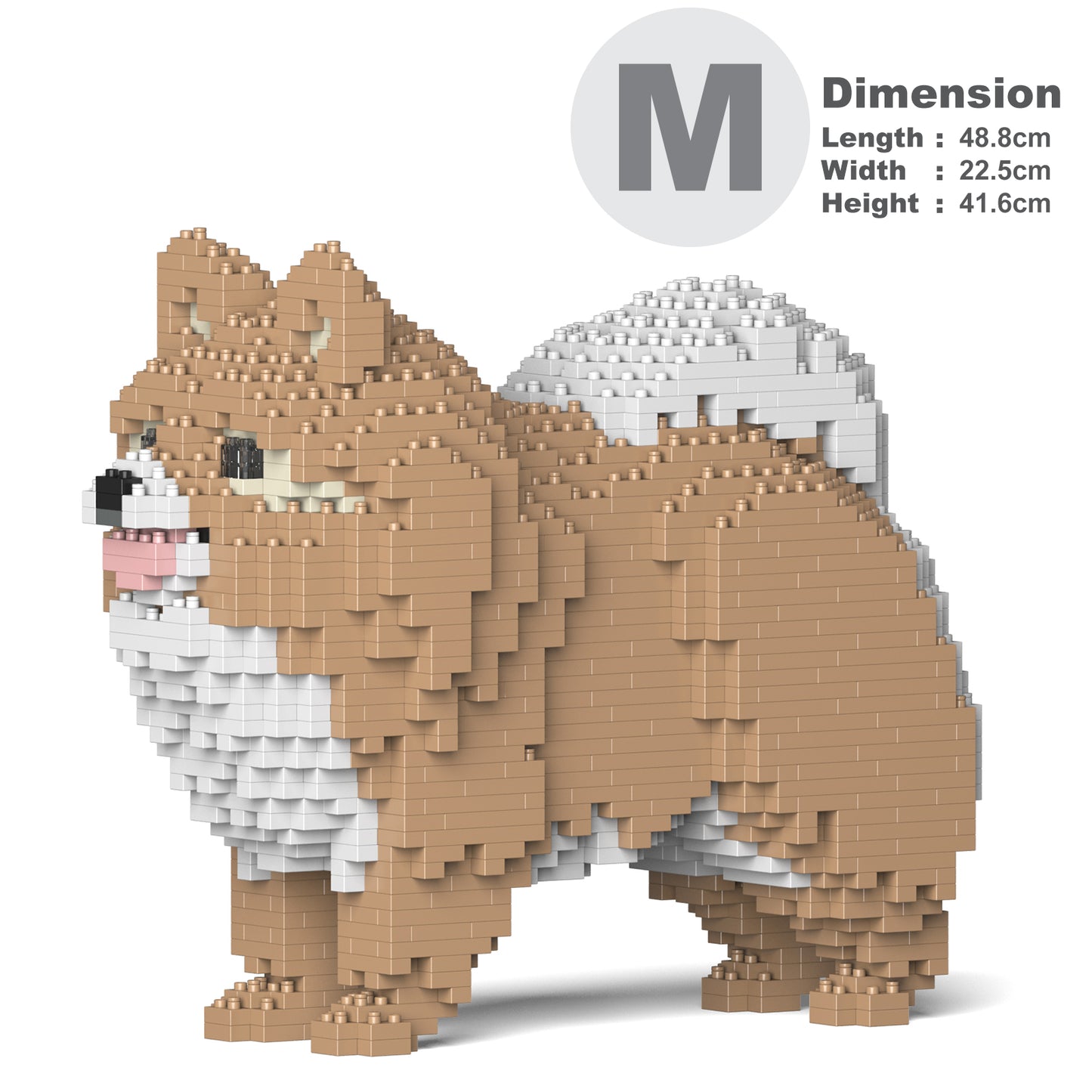松鼠狗02-M01