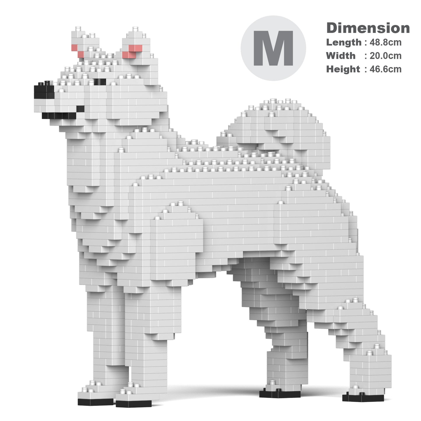 柴犬01-M03