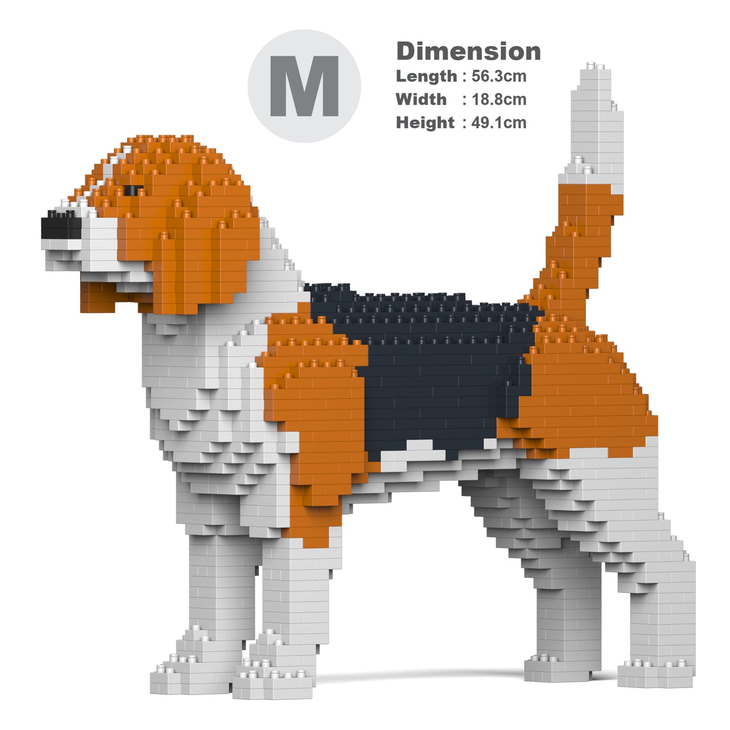 小獵犬01