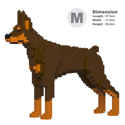 杜賓犬01-M02