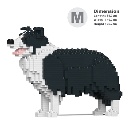邊境牧羊犬01-M01