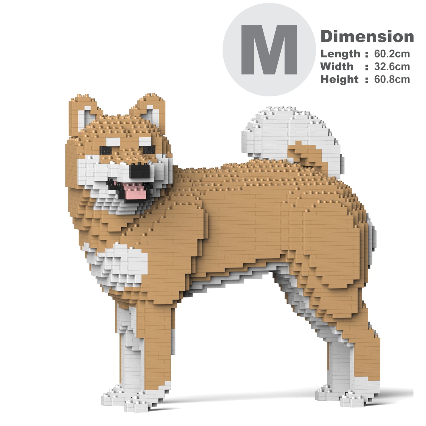 柴犬02-M02