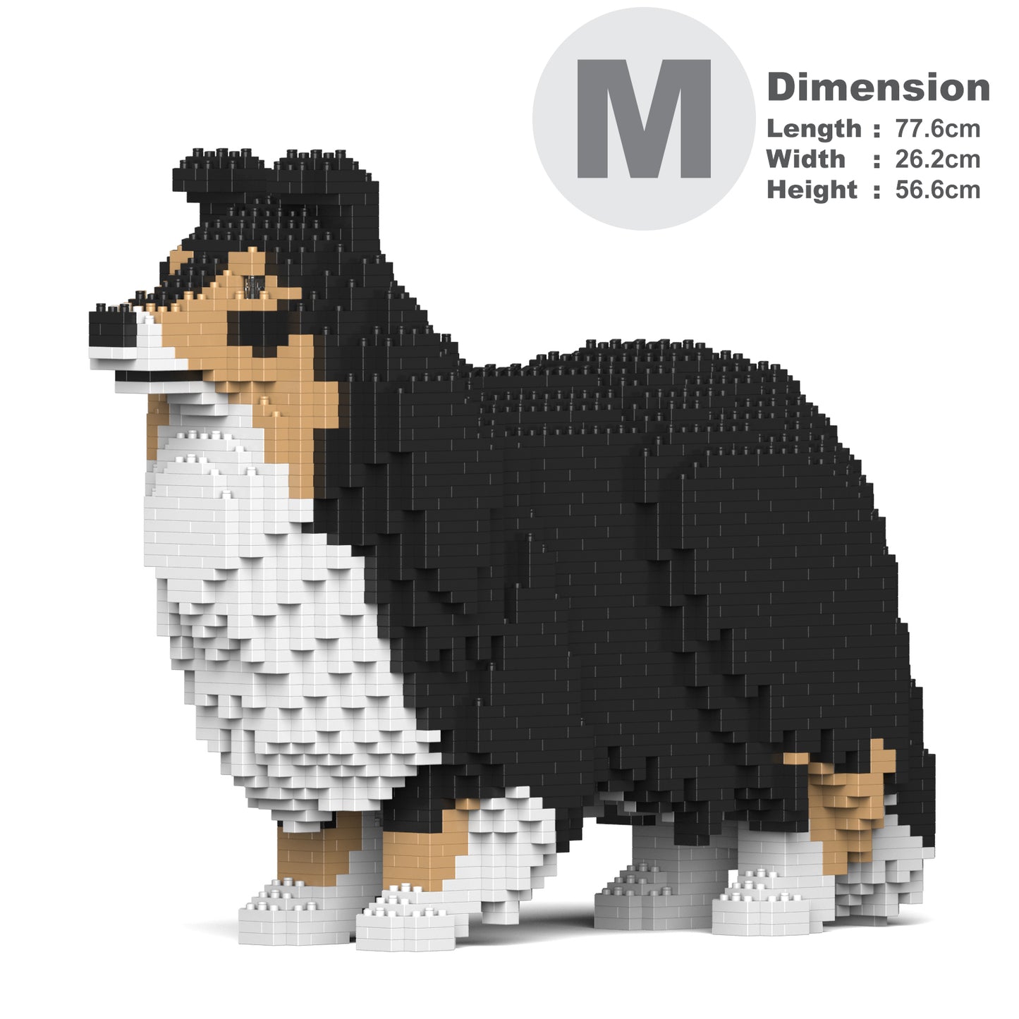 喜樂蒂牧羊犬02-M02