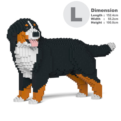 Bernese Mountain Dog 03